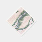  kaart Chesapeake Bay en Delaware Bay Servet (Hoek)