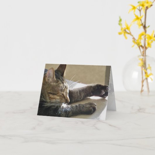 Kaart (CN)- Kat Nap of Two (Gele Bloem)