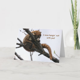 Kaart: Coatimundi #5 Kaart