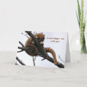 Kaart: Coatimundi #5 Kaart (Voorkant)