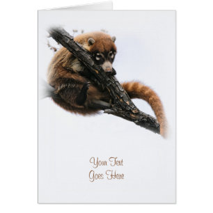 Kaart: Coatimundi #5 (Portret)