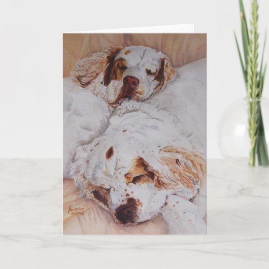 kaart - Comfort - Twee Spanielen Clumber (Voorkant)