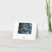 Kaart Conflictoplossingsnota (Achterkant)