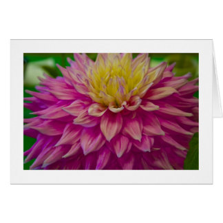 Kaart, Dahlia # 141