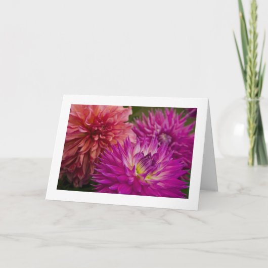 Kaart, Dahlia # 150 Kaart (Voorkant)