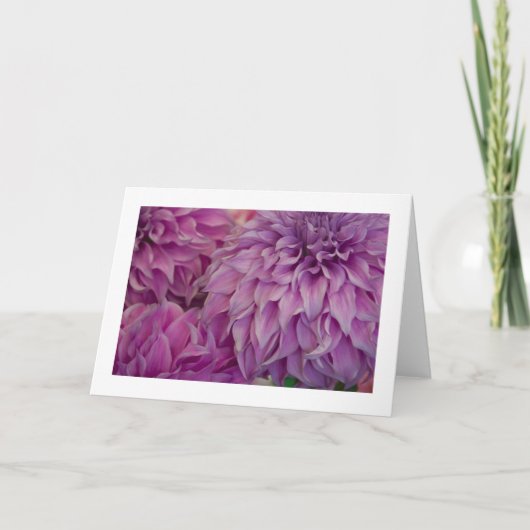 Kaart, "Dahlia # 151" Kaart (Voorkant)