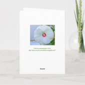 Kaart, "Dank u" White Hibiscus Bedankkaart (Achterkant)