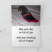 Kaart: De Droom van de Rat van Kerstmis komt Waar! Feestdagen Kaart (Binnen)