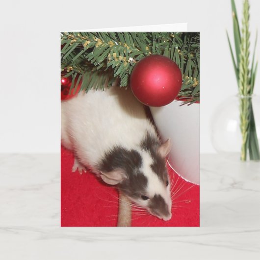 Kaart: De Ratten van Kerstmis Feestdagen Kaart (Voorkant)