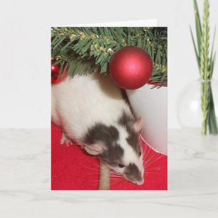 Kaart: De Ratten van Kerstmis Feestdagen Kaart