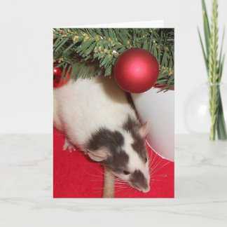 Kaart: De Ratten van Kerstmis Feestdagen Kaart