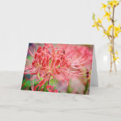 Kaart Ecclesiastes van de Manuscript van Spider Li (Gele Bloem)