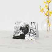 Kaart eekhoorn (Gele Bloem)