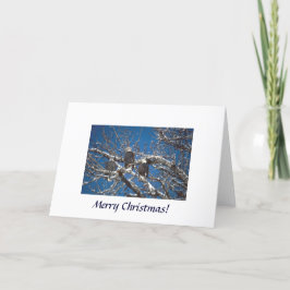 Kaart / een adelaar kerst