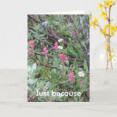 kaart: Enkel omdat Kaart (Gele Bloem)