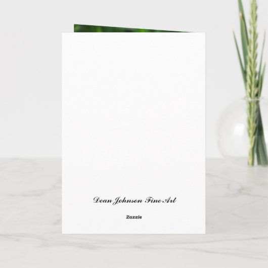 Kaart - Feliz Cumpleaños, mi amor (Achterkant)