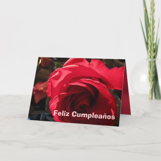 Kaart - Feliz Cumpleaños - Rosa Roja (Voorkant)