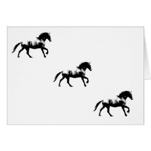 kaart - Friesian Cantering