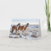 kaart "Frozen Dawn" (Voorkant)