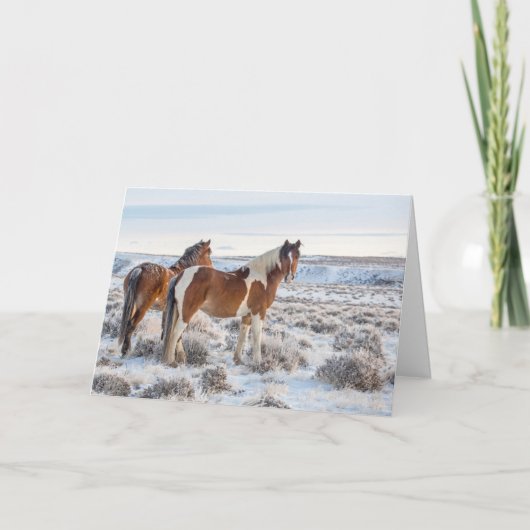 kaart "Frozen Dawn" (Voorkant)