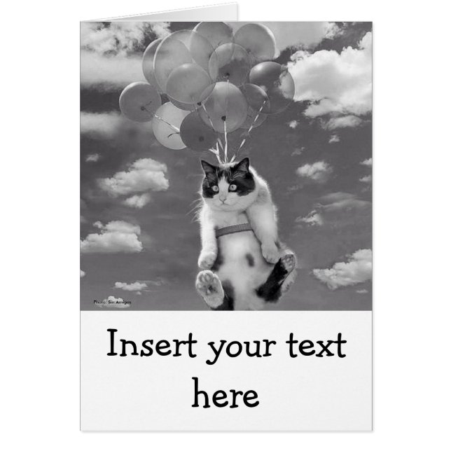 Kaart: Funny cat vliegt met ballonnen (Voorkant)