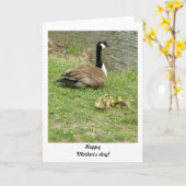 kaart - Ganzen, Moederdag (Gele Bloem)