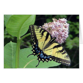 Kaart gele vlinder (Sjabloon)
