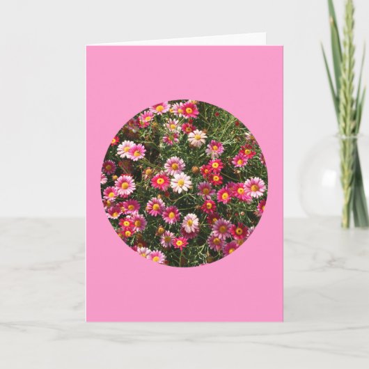 Kaart, "Geschilderde Madeliefjes in een Cirkel" Kaart (Voorkant)