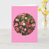 Kaart, "Geschilderde Madeliefjes in een Cirkel" Kaart (Gele Bloem)