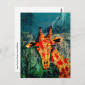 Kaart Giraffe 2 Briefkaart (Voorkant / Achterkant)