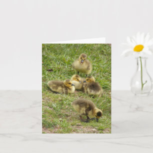 kaart - Goslings