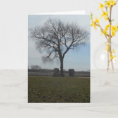 kaart "Greenwood Cemetery Tree" (Greenwood begraaf (Gele Bloem)