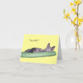 Kaart - Greeting - Gray kitten (Gele Bloem)