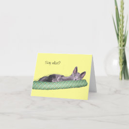 Kaart - Greeting - Gray kitten