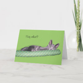 Kaart - Greeting - Gray kitten