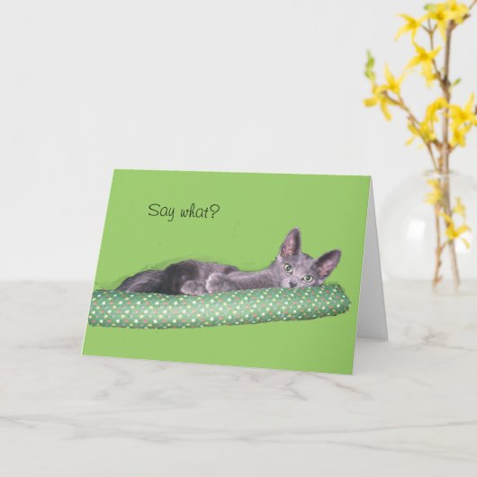 Kaart - Greeting - Gray kitten (Gele Bloem)