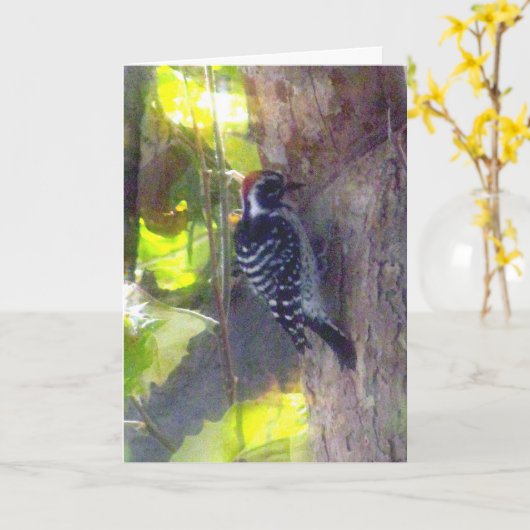 Kaart - Greeting - Woodpecker (Gele Bloem)