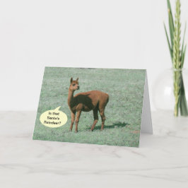 Kaart - Groet - Alpaca Greetings