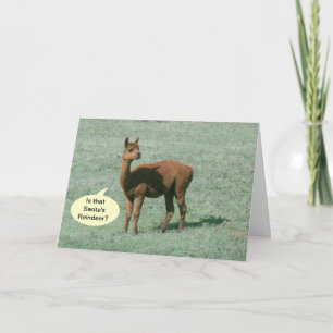 Kaart - Groet - Alpaca Greetings