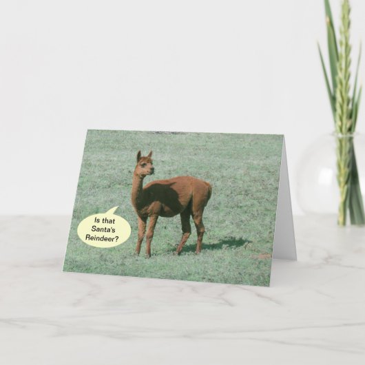 Kaart - Groet - Alpaca Greetings (Voorkant)