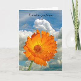 Kaart - groet - Calendula on Stem