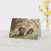 Kaart - Groet - Eekhoorn in de schaduw (Gele Bloem)