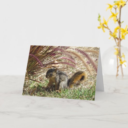 Kaart - Groet - Eekhoorn in de schaduw (Gele Bloem)