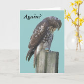 Kaart - Groet - Falcon laat (Gele Bloem)