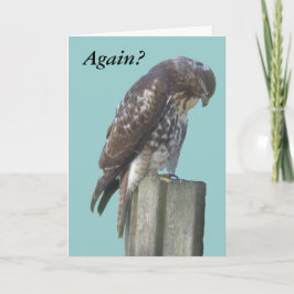 Kaart - Groet - Falcon laat