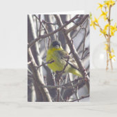 Kaart - Groet - Gele vogel in takken (Gele Bloem)