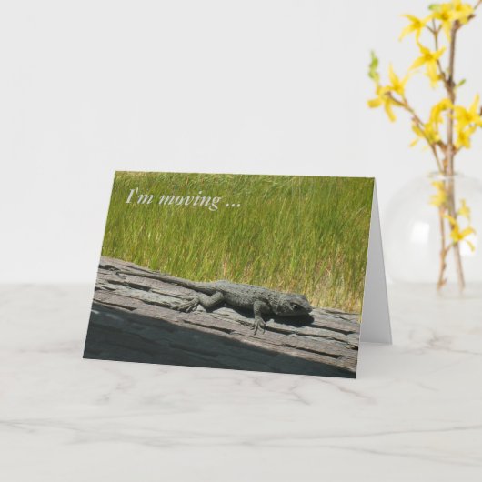 Kaart - Groet - Ik ga door (Gele Bloem)