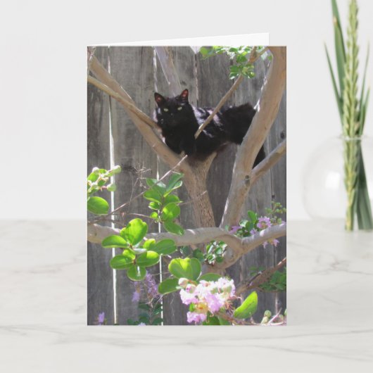 Kaart, groet - Kat in filialen Kaart (Voorkant)