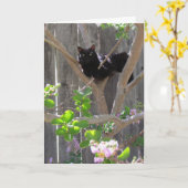 Kaart, groet - Kat in filialen Kaart (Gele Bloem)