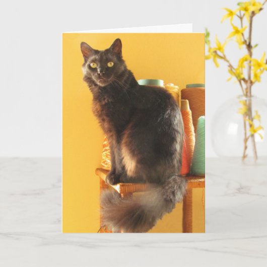 Kaart - groet - Kat met garen (Gele Bloem)